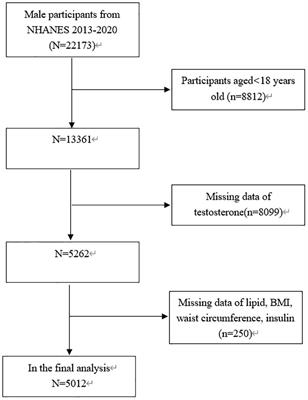 Negative correlation between cardiometabolic index and testosterone in male adults